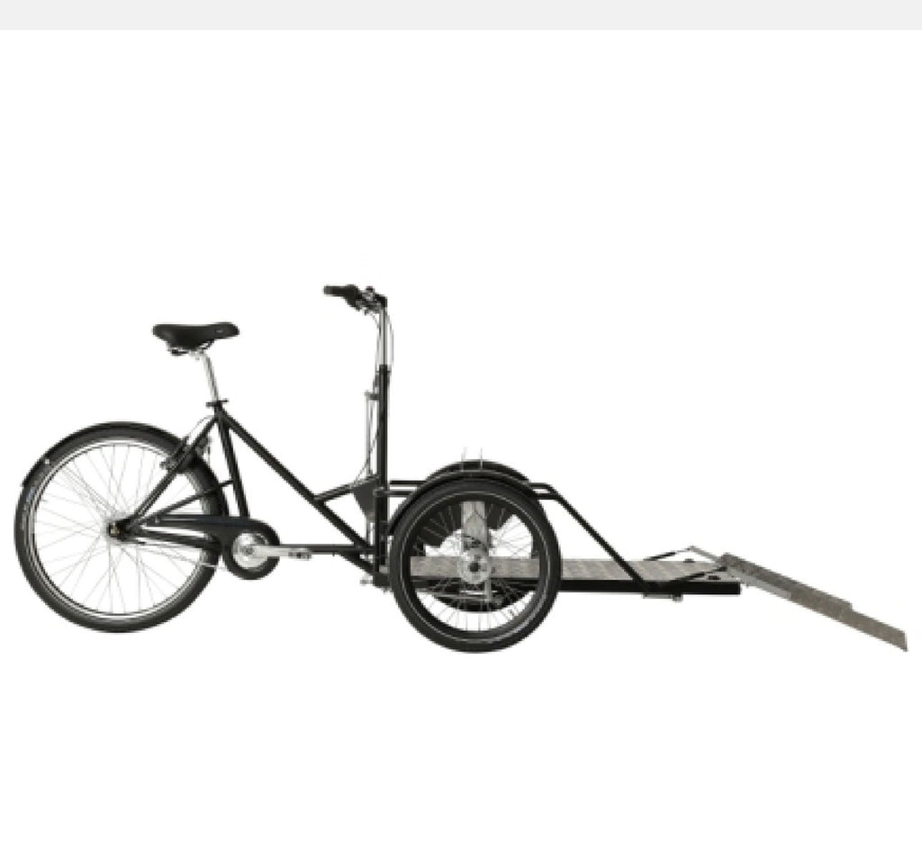 FLEX SHIMANO NEXUS 8 (SPECIAL ORDER)