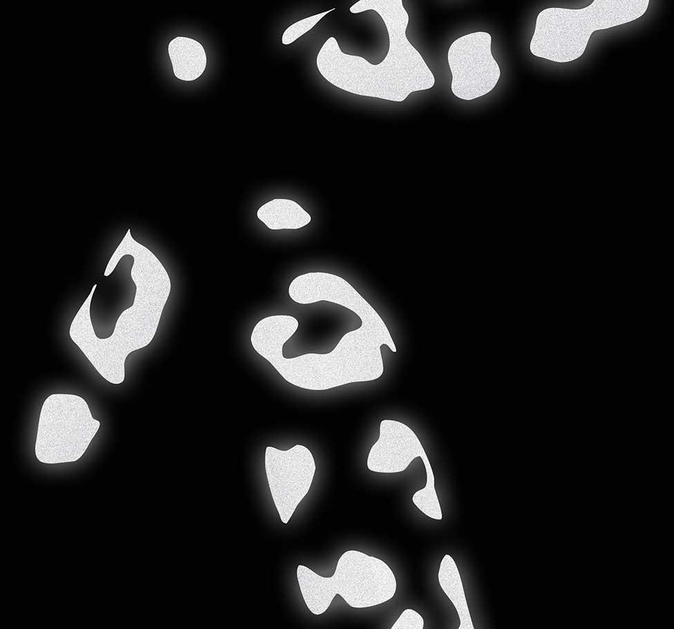 STICKY REFLECTORS - LEOPARD SPOTS