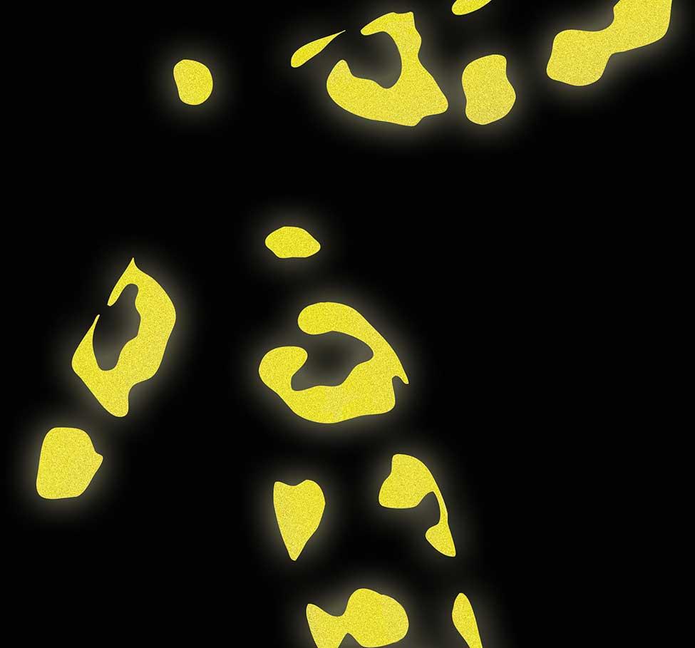 STICKY REFLECTORS - LEOPARD SPOTS