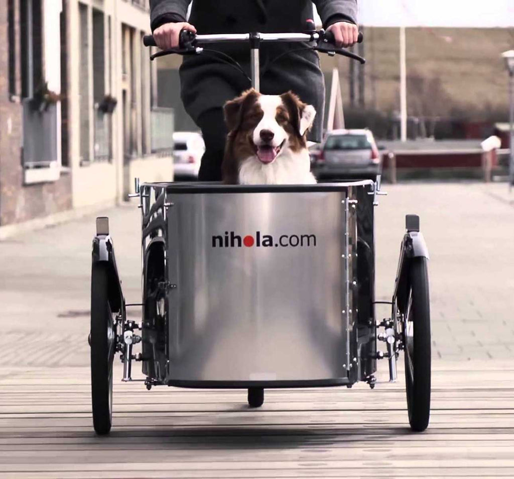 Electric cargo bike for dogs cheap